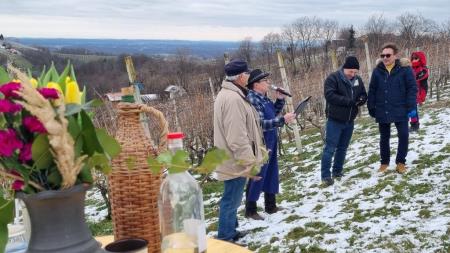 Vincekovo brez meja 8